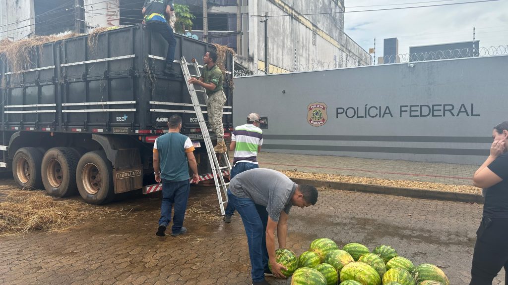 Escolas recebem doação de 30 toneladas de melancia encontradas em caminhão que transportava cocaína