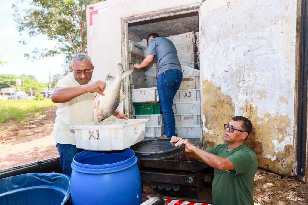 Empresa é multada em mais de R$ 104 mil por transportar cinco toneladas de peixes sem nota fiscal