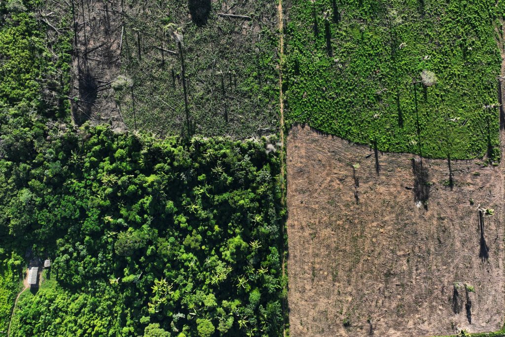 Inpe: alertas de desmatamento na Amazônia sobem 27% no 1º semestre