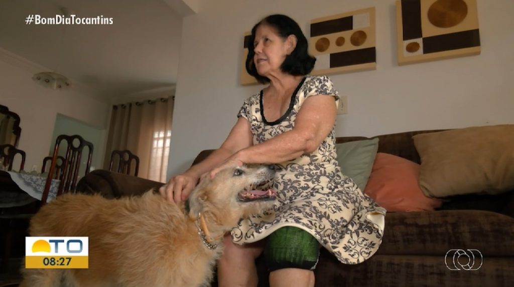 Cachorra ajuda a resgatar tutora que sofreu acidente doméstico e não conseguia se levantar