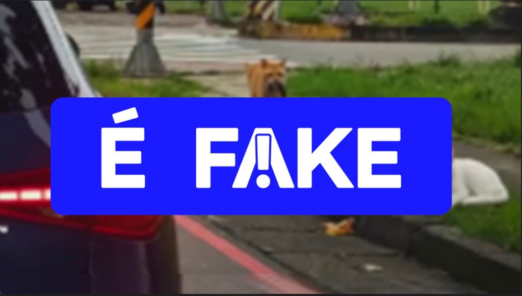 É #FAKE vídeo de gatinho flagrando ‘traição’; cena foi gerada com inteligência artificial