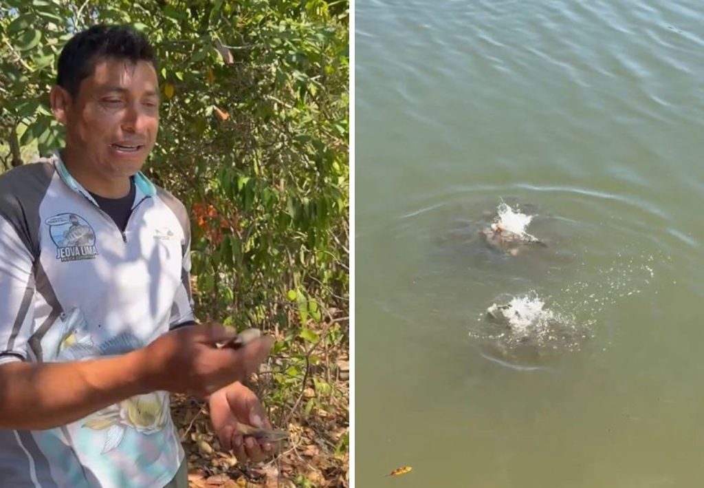 Pescador mostra lago repleto de piranhas no TO e brinca: ‘Não é bom banhar aqui’